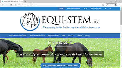 Equi-Stem LLC (Wordpress) - <a href='https://www.equi-stem.com/' target='_blank'>https://www.equi-stem.com/</a>